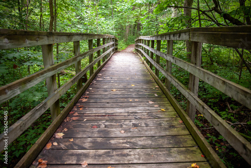 A boardwalk along a hiking path in a Provincial Park in Ontario  Canada.