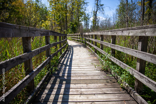 Fototapeta Naklejka Na Ścianę i Meble -  A boardwalk along a hiking path in a Provincial Park in Ontario, Canada.
