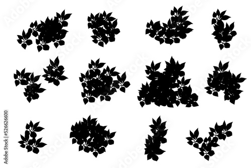 bush silhouette. bush leaves set Fototapet
