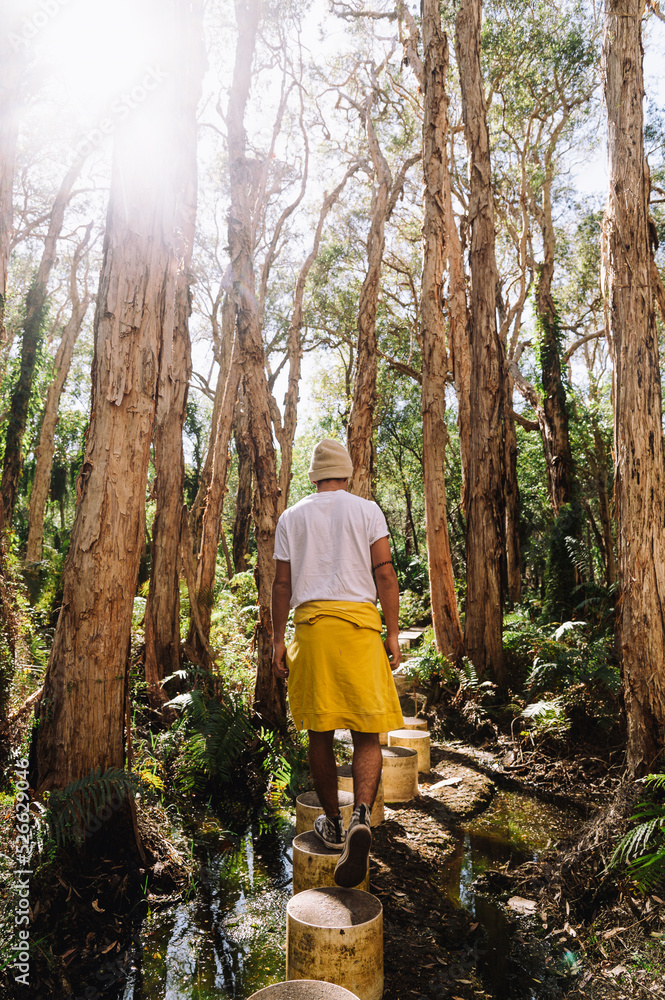 Forest walk