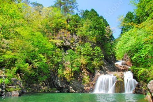 Naklejka 広島県三段峡 新緑の三ツ滝