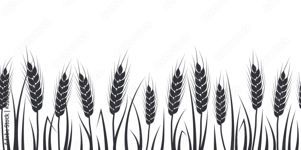 Wheat, oat, rye or barley field silhouette. Cereal plant border, agricultural landscape with black spikelets. Banner for design beer, bread, flour packaging. Wheat, oat, rye or barley field silhouette. Cereal plant border, agricultural landscape with black spikelets. Banner for design beer, bread, flour packaging.