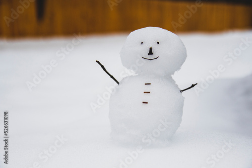 Do You Want To Build A Snowman? photo
