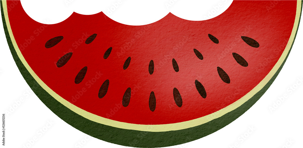 watermelon watercolor paint watermelon watercolor paint