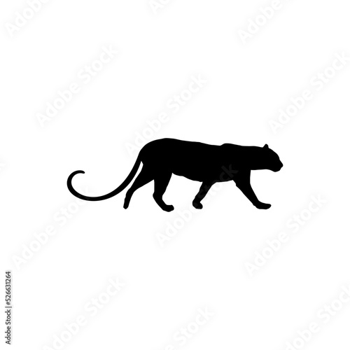 Walking (Standing) Tiger, Leopard, Cheetah, Black Panther, (Big Cat Family) Silhouette for Logo or Graphic Design Element. Vector Illustration