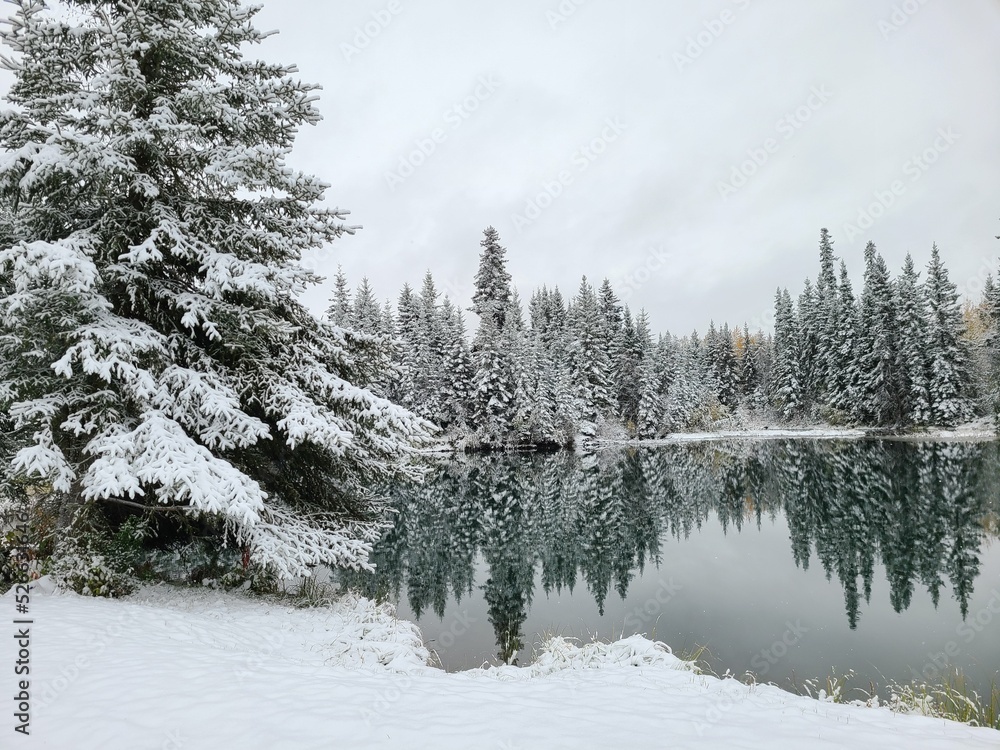 Fototapeta premium lake reflection in winter