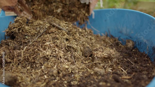 Wallpaper Mural SELF SUSTAINABILITY - Grassy compost is poured from a bag into a bucket Torontodigital.ca