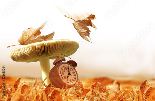 autumn falling dry brown leaves on mushrooms mushroom in the nuture green leaves like umbrellas i photo