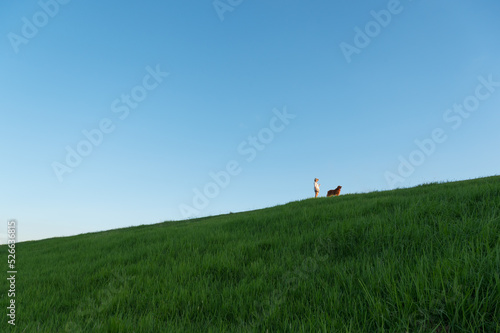 Wallpaper Mural Golden Retriever and owner on a wide grassy hillside