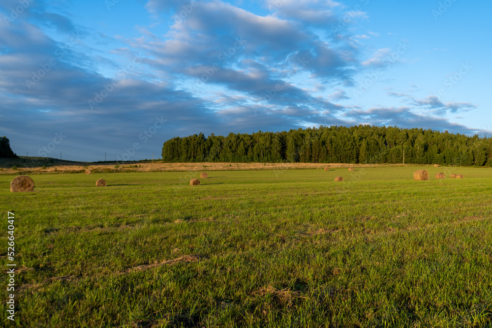 Field. A stack of hay. Summer. Nature. Sunset Field. A stack of hay. Summer. Nature. Sunset