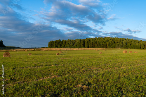 Field. A stack of hay. Summer. Nature. Sunset