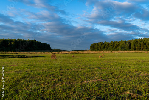 Field. A stack of hay. Summer. Nature. Sunset