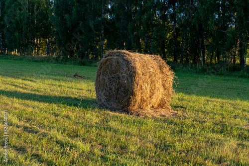 Field. A stack of hay. Summer. Nature. Sunset