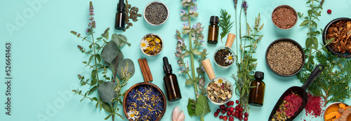 Tableau sur toile Alternative herbal medicine on green background.