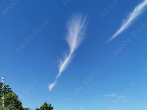 blue sky with clouds, Cirrus uncinus , Federwolke