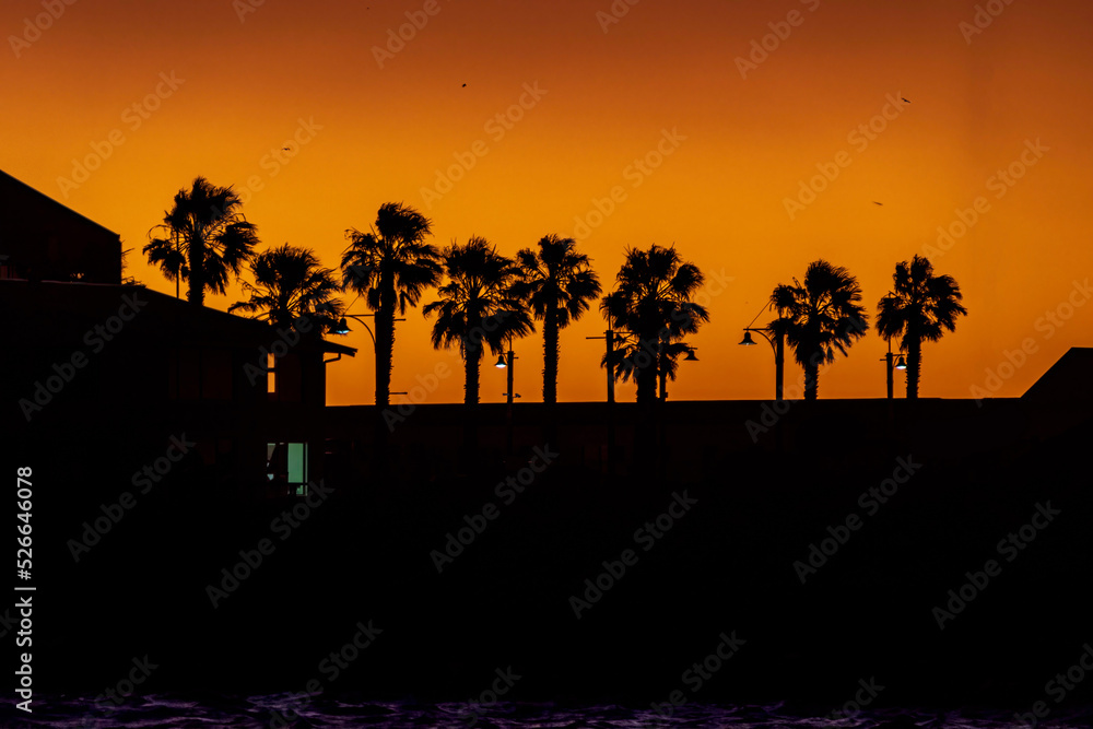 Palm trees sharply silhouetted against the bold orange and pink colors of a sunset sky