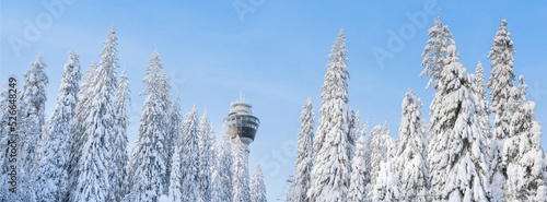 Scenic winter view of Puijo tower and surrounding snowy forest in Kuopio, Finland photo