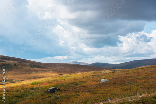 Motley autumn landscape with sunlit high mountain plateau under dramatic sky. Fading autumn colors in mountains. Hills in sunlight and shadows of clouds in changeable weather. Overcast in mountains.