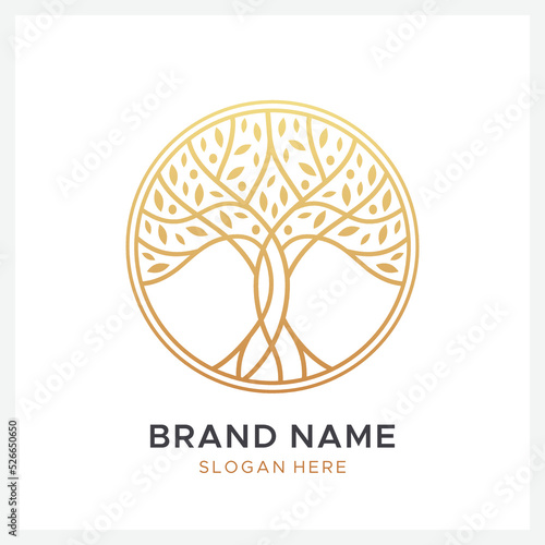 golden tree logo design template