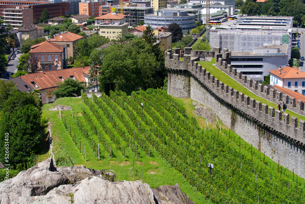 Scenic view of Unesco world heritage castle Castelgrande with rock and vineyard at City of Bellinzona, Canton Ticino, on a blue cloudy summer day. Photo taken July 4th, 2022, Bellinzona, Switzerland.