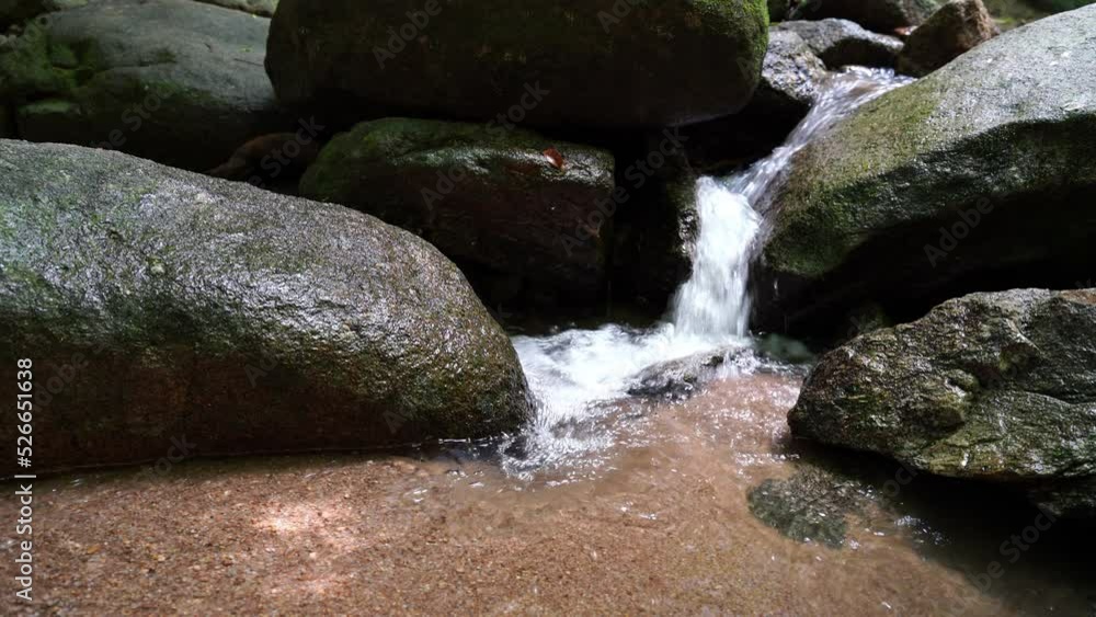 beautiful Tree and Leaf natural leaves and stream green forest in the mountain concept back ground cover page environment ecology or nature wallpaper beautiful Tree and Leaf natural leaves and stream green forest in the mountain concept back ground cover page environment ecology or nature wallpaper