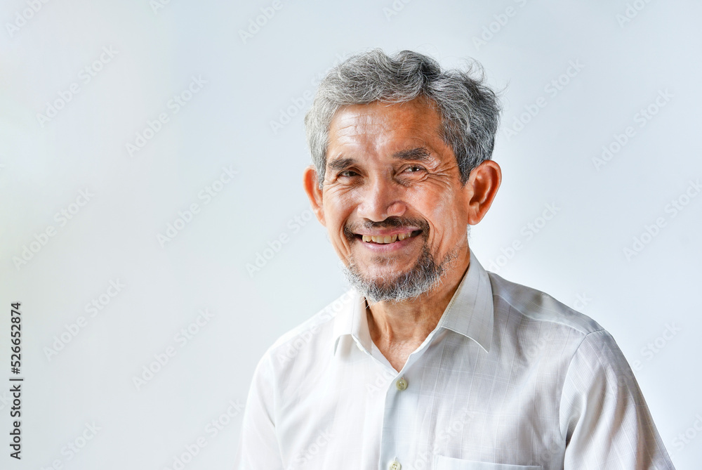 portrait  an attractive asian senior with grey hair and beard