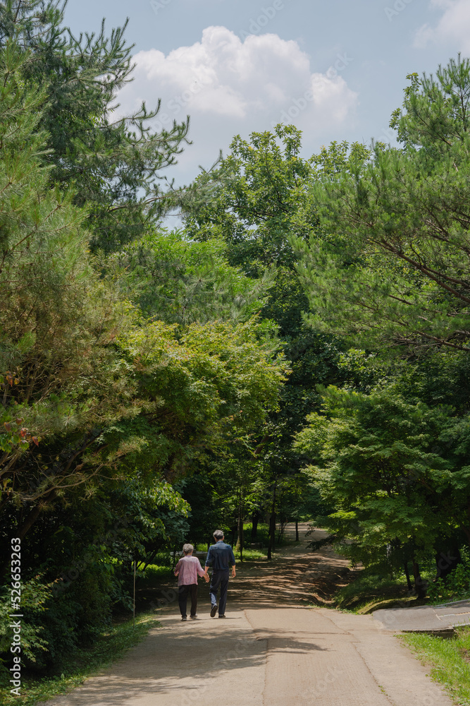 Fototapeta premium walk in the park