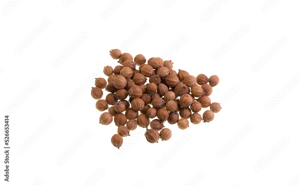 Coriander Seeds Isolated on White Coriander Seeds Isolated on White
