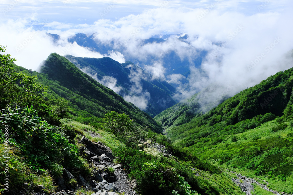 南アルプスの絶景トレイル。日本の雄大な自然。百名山、聖岳