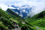 南アルプスの絶景トレイル。日本の雄大な自然。百名山、聖岳