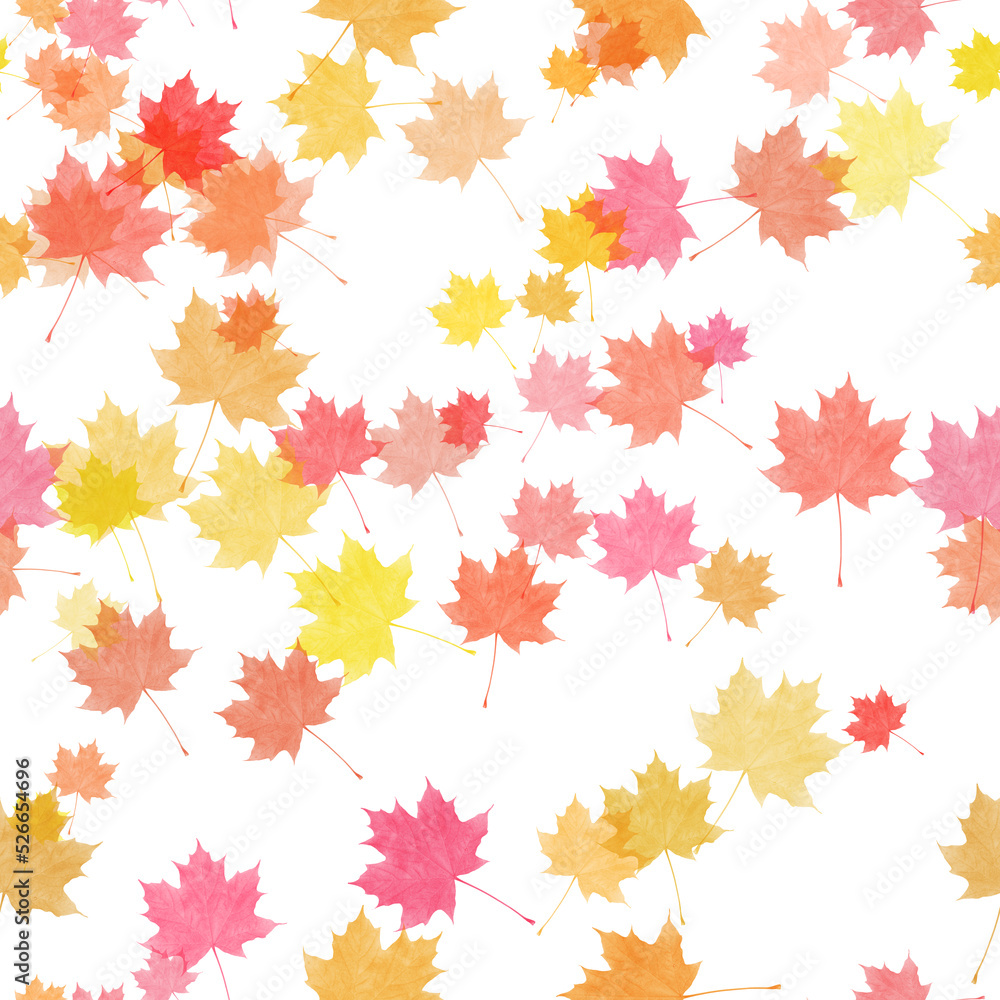 seamless pattern with various maple autumn leaves on white background