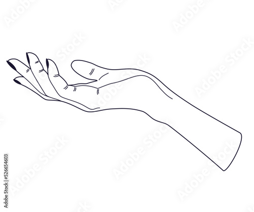 Women's hands. Female hands with various gestures. Perfect for logos, prints, patterns, posters and other designs. Vector illustration fashionable minimalistic linear style.