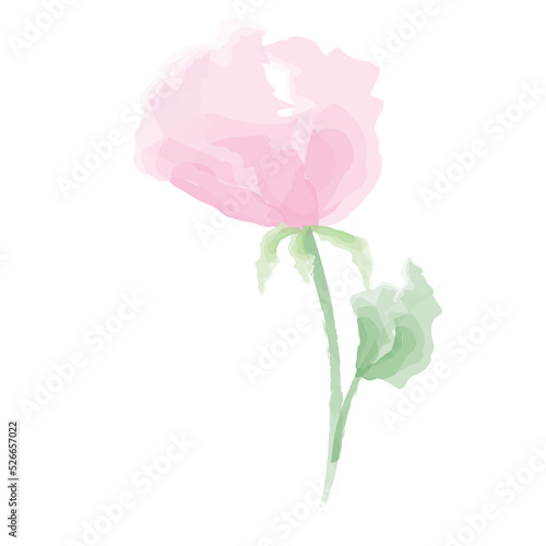 Pink pastel rose and leaf. hand drawn element. Organic water color Flower.