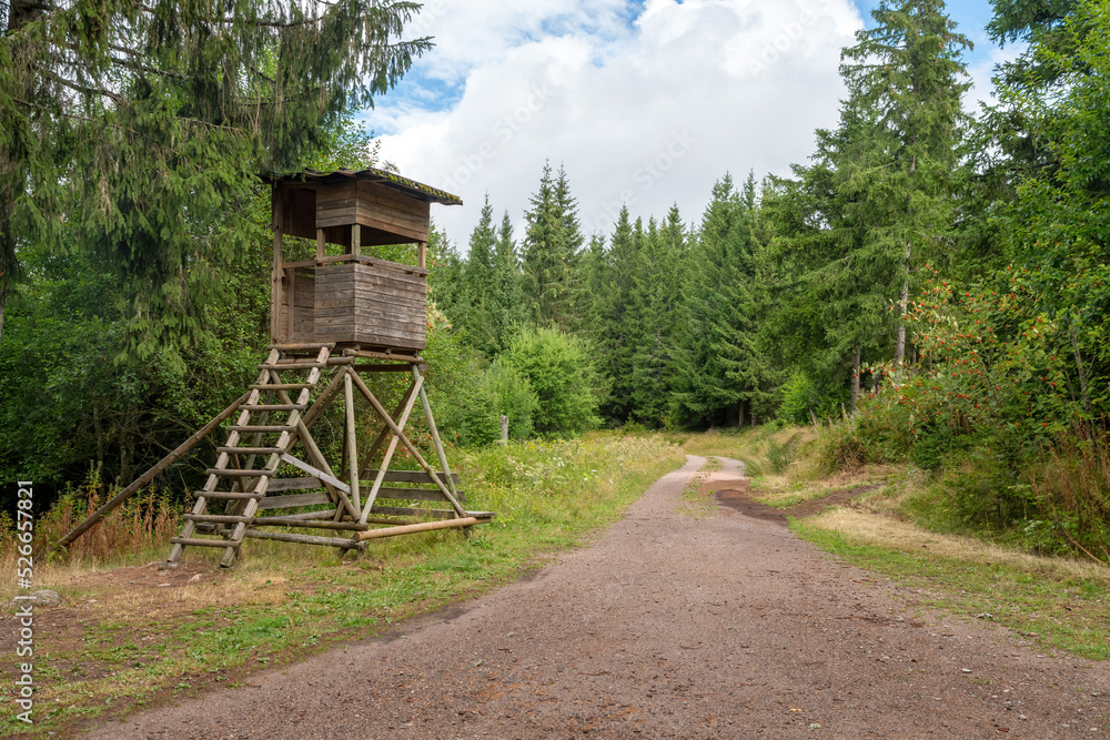 Huntsman high seat at the edge of the forest in front of a meadow with green background Huntsman high seat at the edge of the forest in front of a meadow with green background