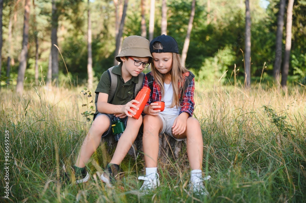 Fototapeta premium kids scouts in the forest.