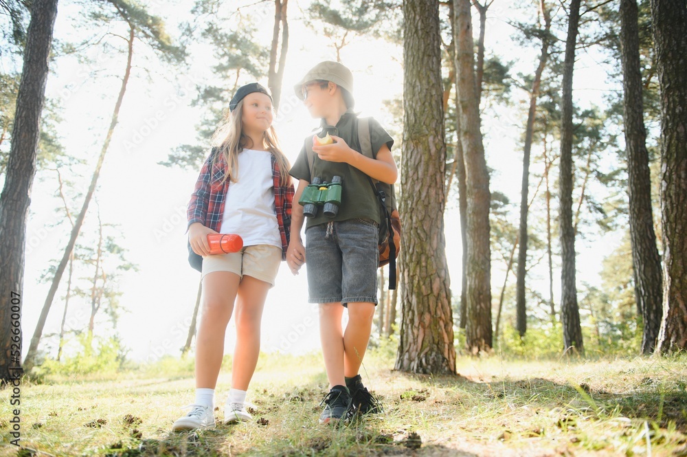 boy and girl go hiking with backpacks on forest road bright sunny day boy and girl go hiking with backpacks on forest road bright sunny day