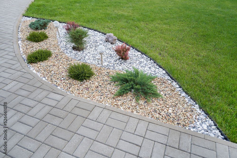 Landscaping in the garden with stones and coniferous bushes of Thuja along a pavement Landscaping in the garden with stones and coniferous bushes of Thuja along a pavement