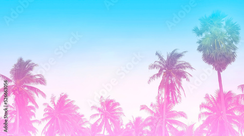 Summer colorful theme with palm trees background as texture frame image background © SASITHORN