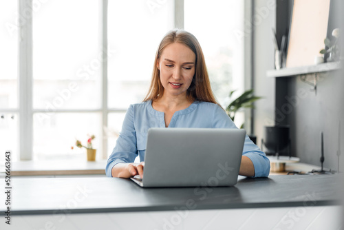 Young female entrepreneur working on a laptop at home