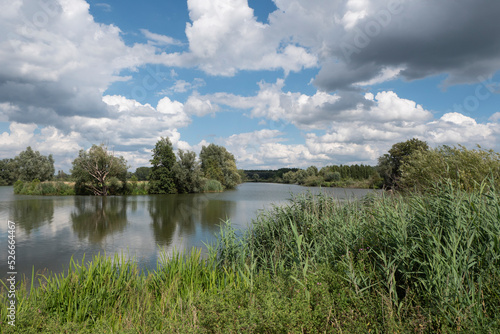 Polder landscape photo with water and a blue cloudy sky