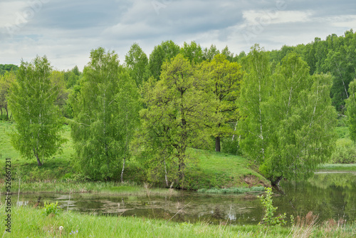 Landscape with a pond with a reflective surface and a forest behind against grey rainy clouds.