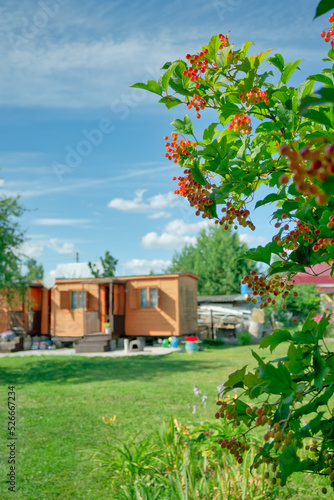 A viburnum bush with red ripe berries with selective focus on it in a cozy place with bungalow for rest and relaxation.