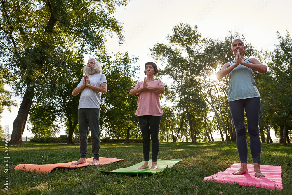 Focused elderly friends meditating on green meadow Focused elderly friends meditating on green meadow
