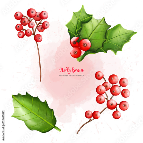 Christmas Holly berry set, Digital paint watercolor illustration..