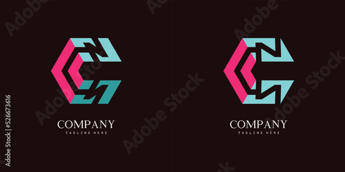 Hexagon Logo Design of letter C N in 3D illusion style. Negative space Initial Logo for company or personal branding. EPS8.