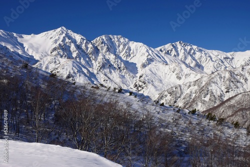 Winter scenery in Hakuba, Nagano