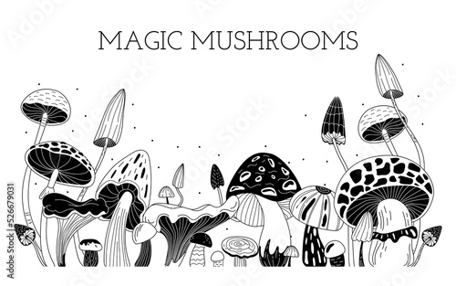  Magic mushrooms in doodle style.