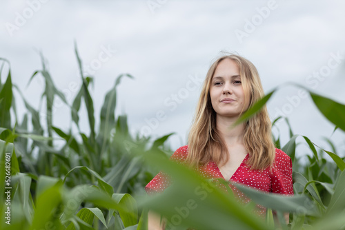 Long haired blond teen walking through a corn field on a summer afternoon photo