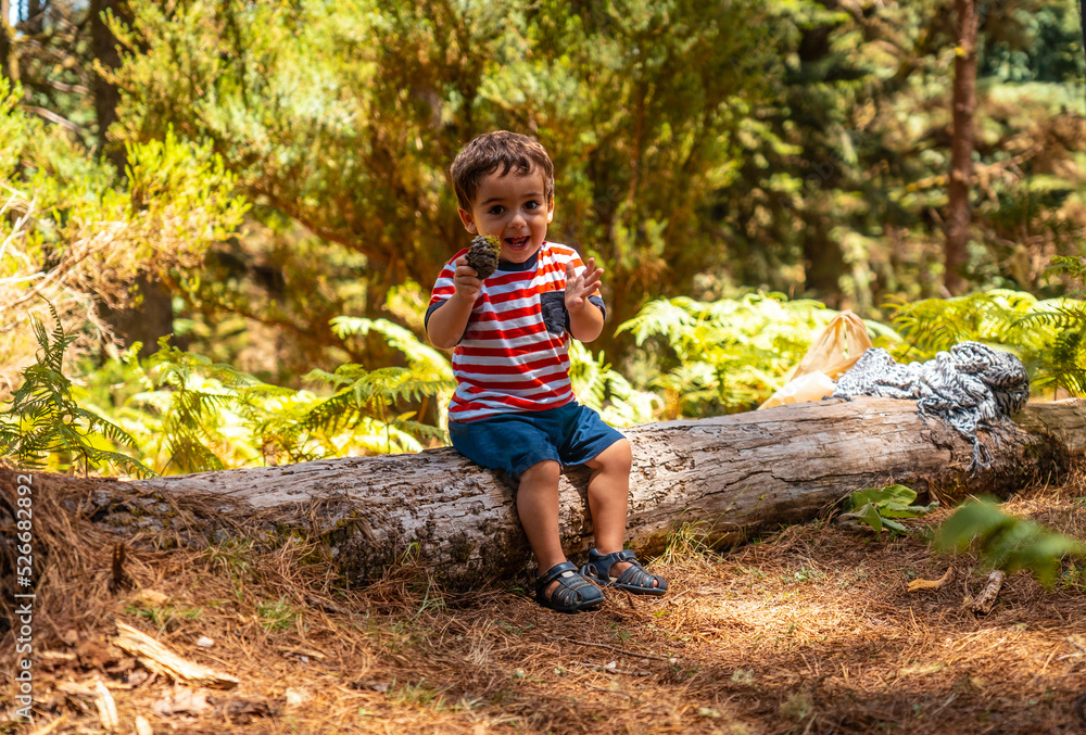 A boy sitting on a tree in nature next to pine trees, Madeira. Portugal A boy sitting on a tree in nature next to pine trees, Madeira. Portugal