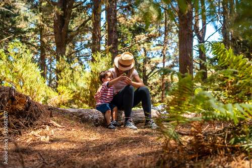 Portrait of a mother with her son sitting on a tree in nature next to pine trees